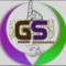 logo gs e1748862412255