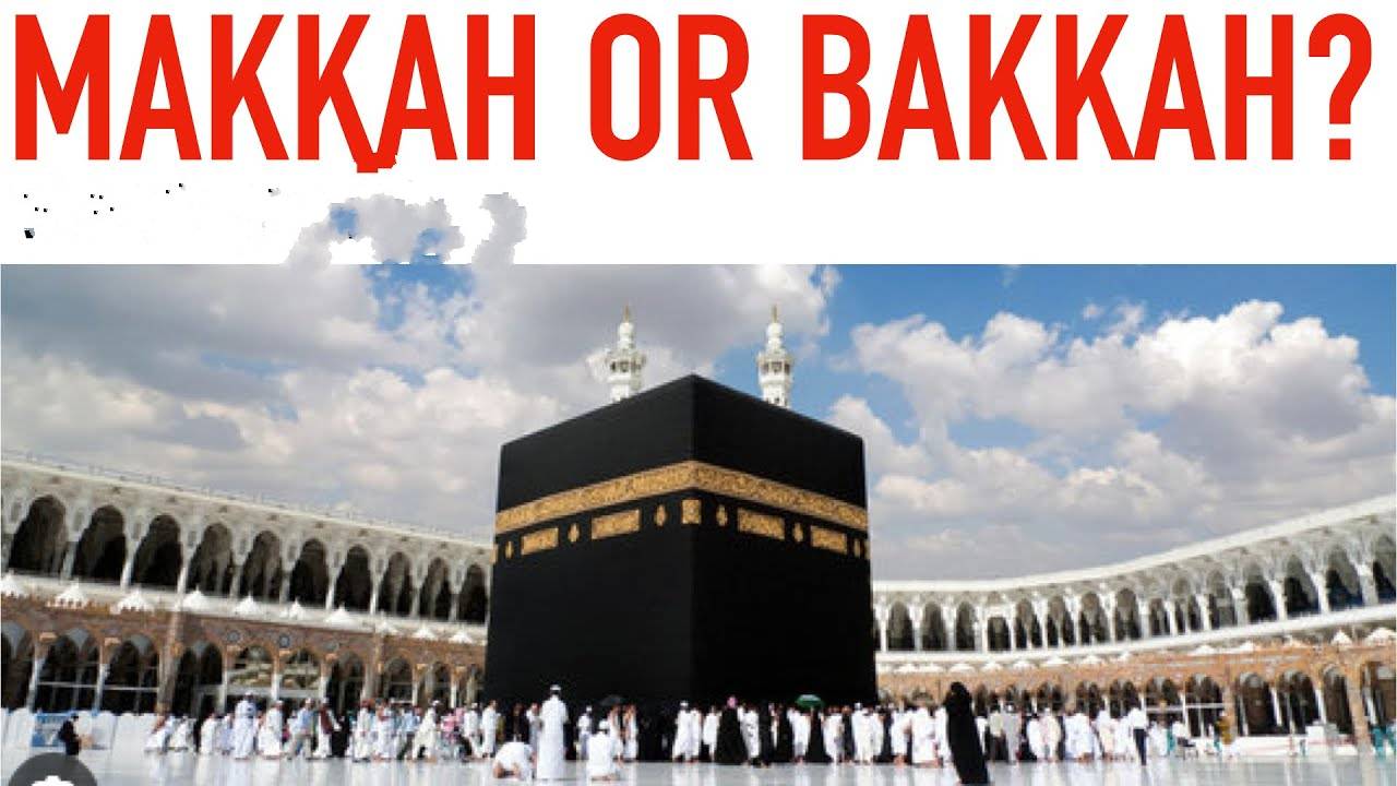 bakka1
