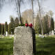 graves 80x80